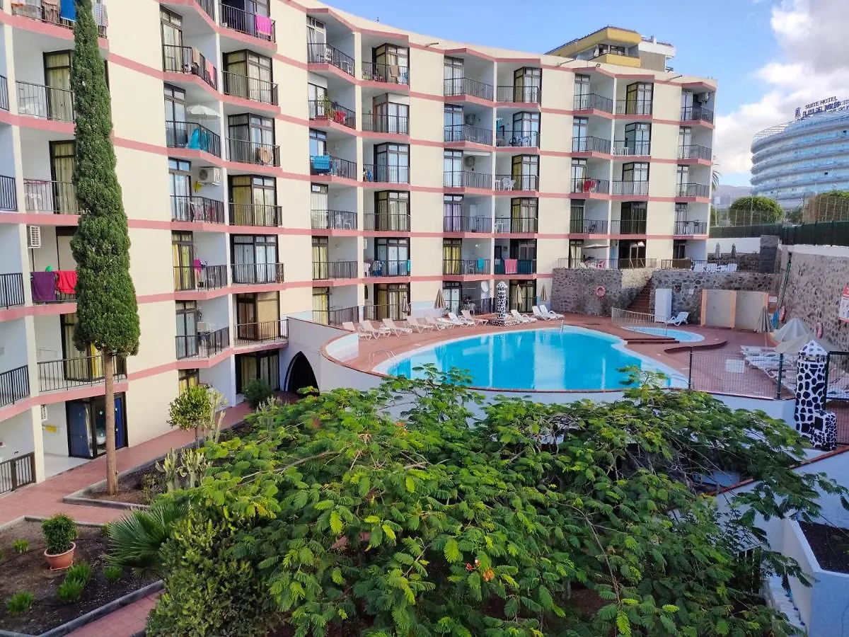 Guinea Nidive Apartment San Bartolome de Tirajana